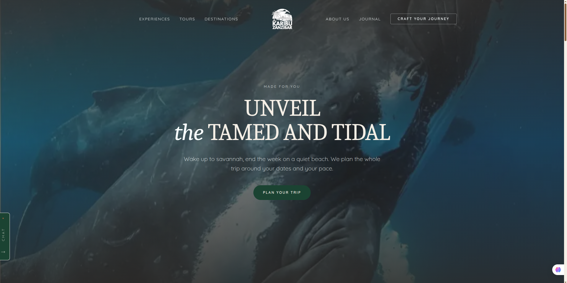 Luxury Travel Agency Website detail — image 1 of 6